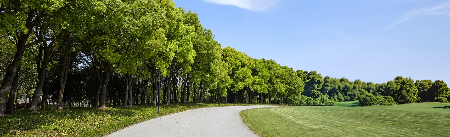 Park pathway